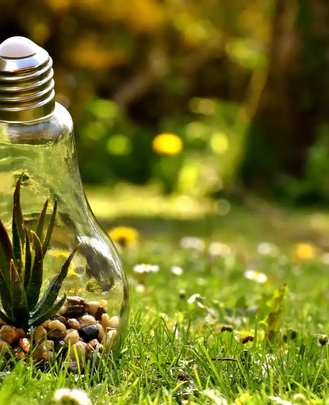 Bombilla con una planta, símbolo de energía sostenible